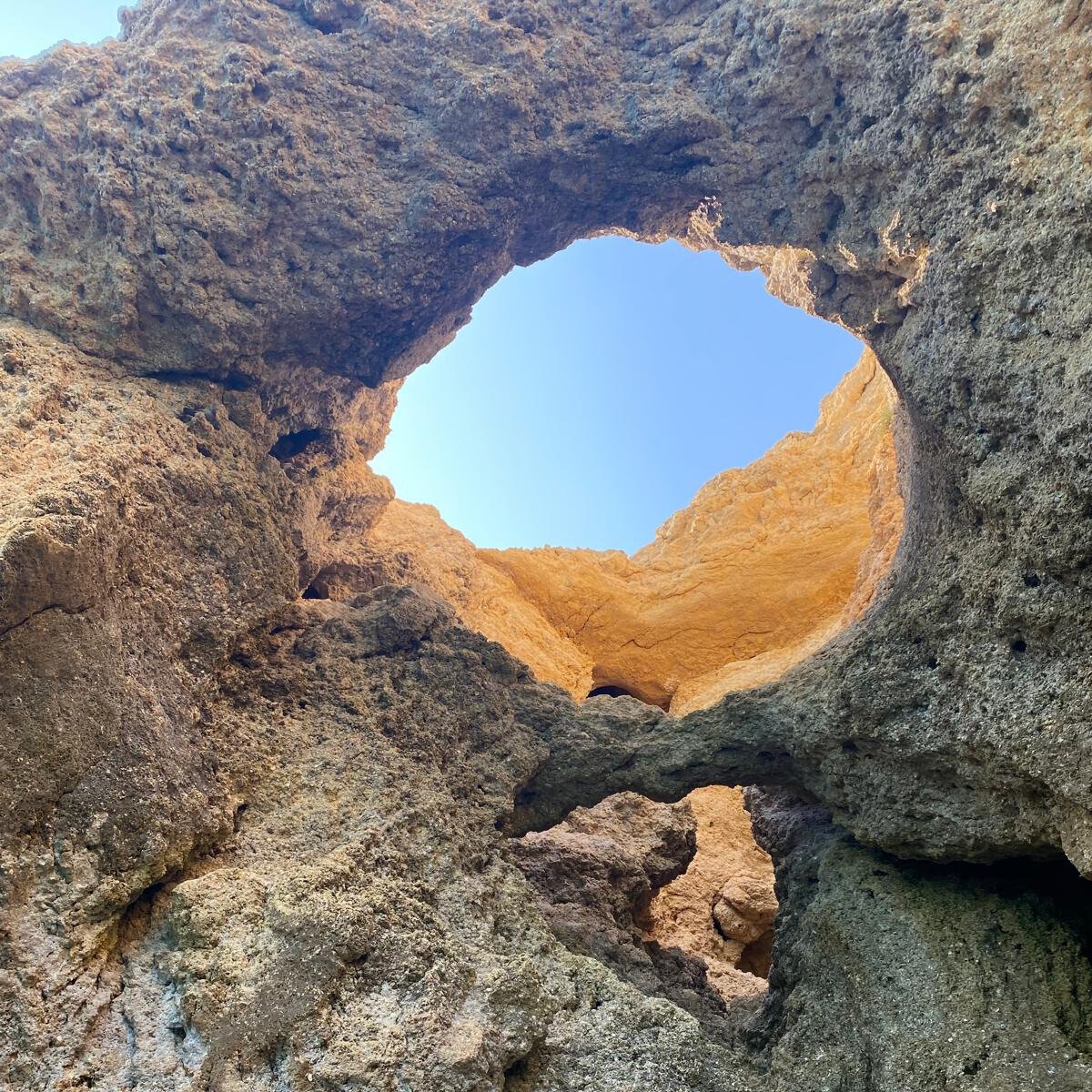 0e1260e3-2439-4830-b427-b0d14e3b1c2d