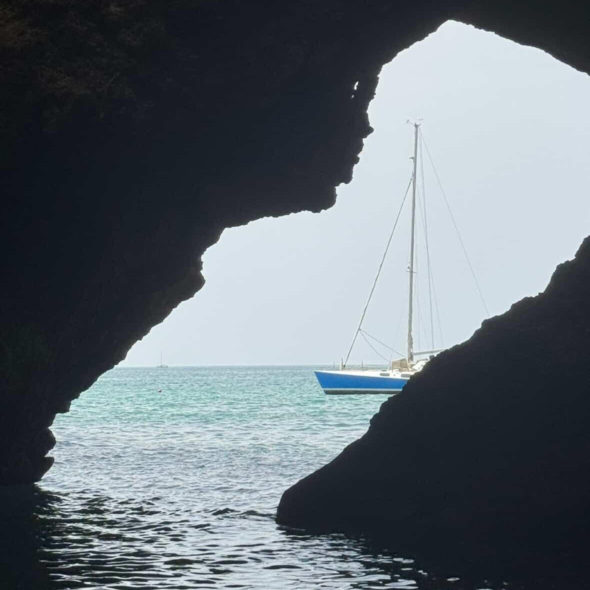 135cf28c-015e-4215-8c3d-281f794f1142