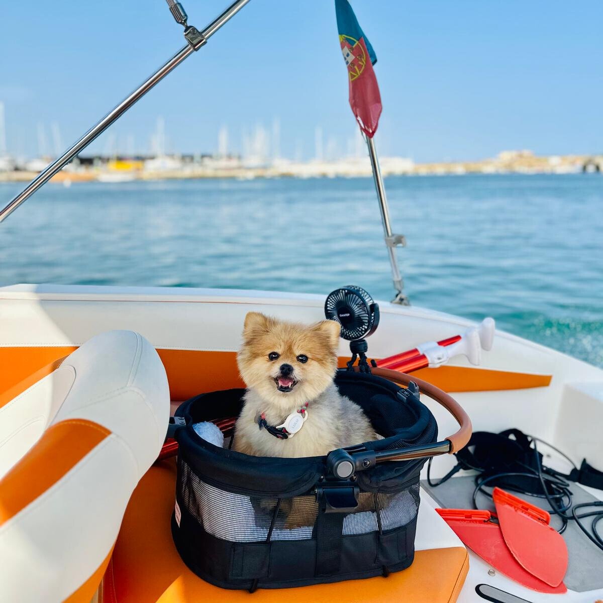 ad1e0f45-d868-4cec-be66-b76faedad719