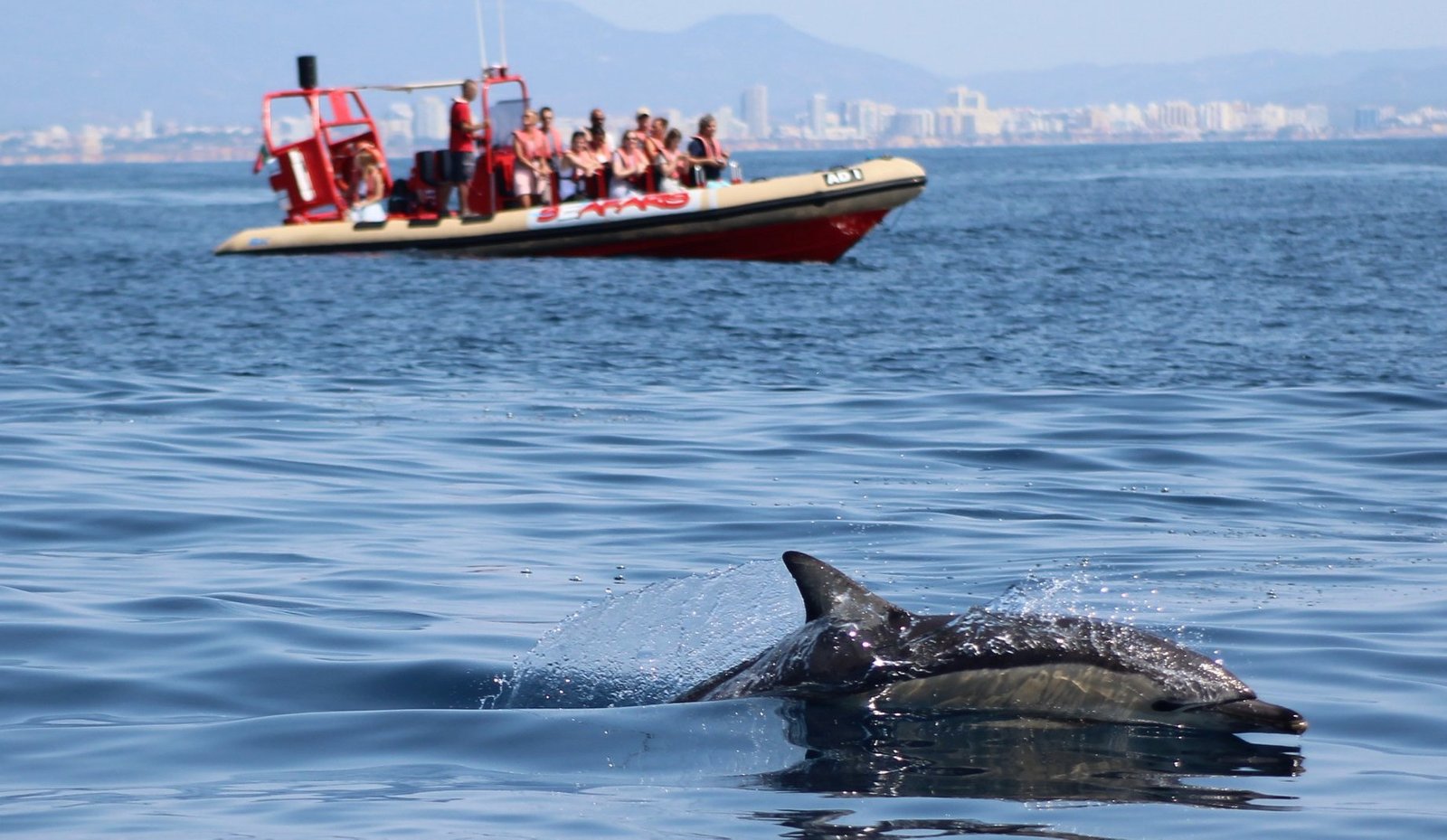 1518-dolphin-watching-tour-in-lagos-1575397606