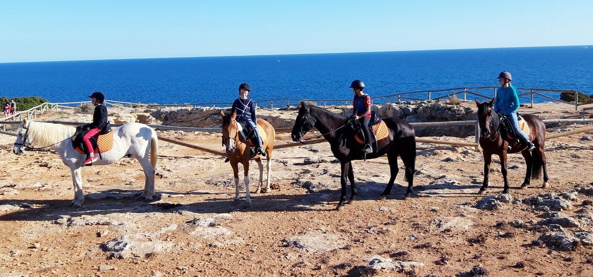 impressions-of-our-trail